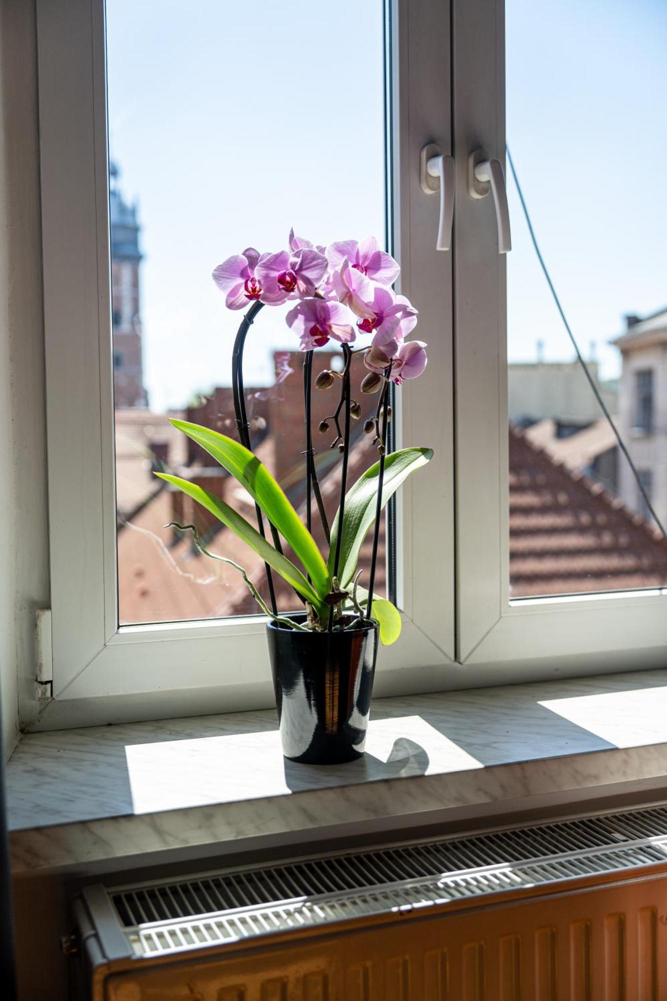 Vista View Apartment 크라쿠프 외부 사진